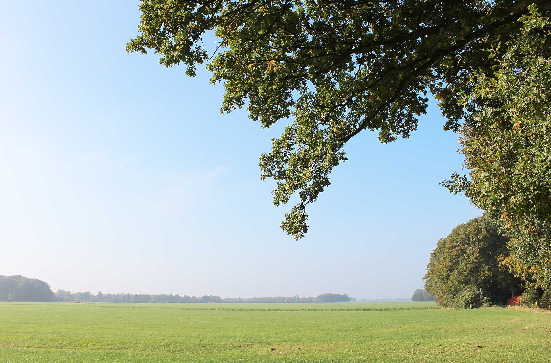 achtergrond